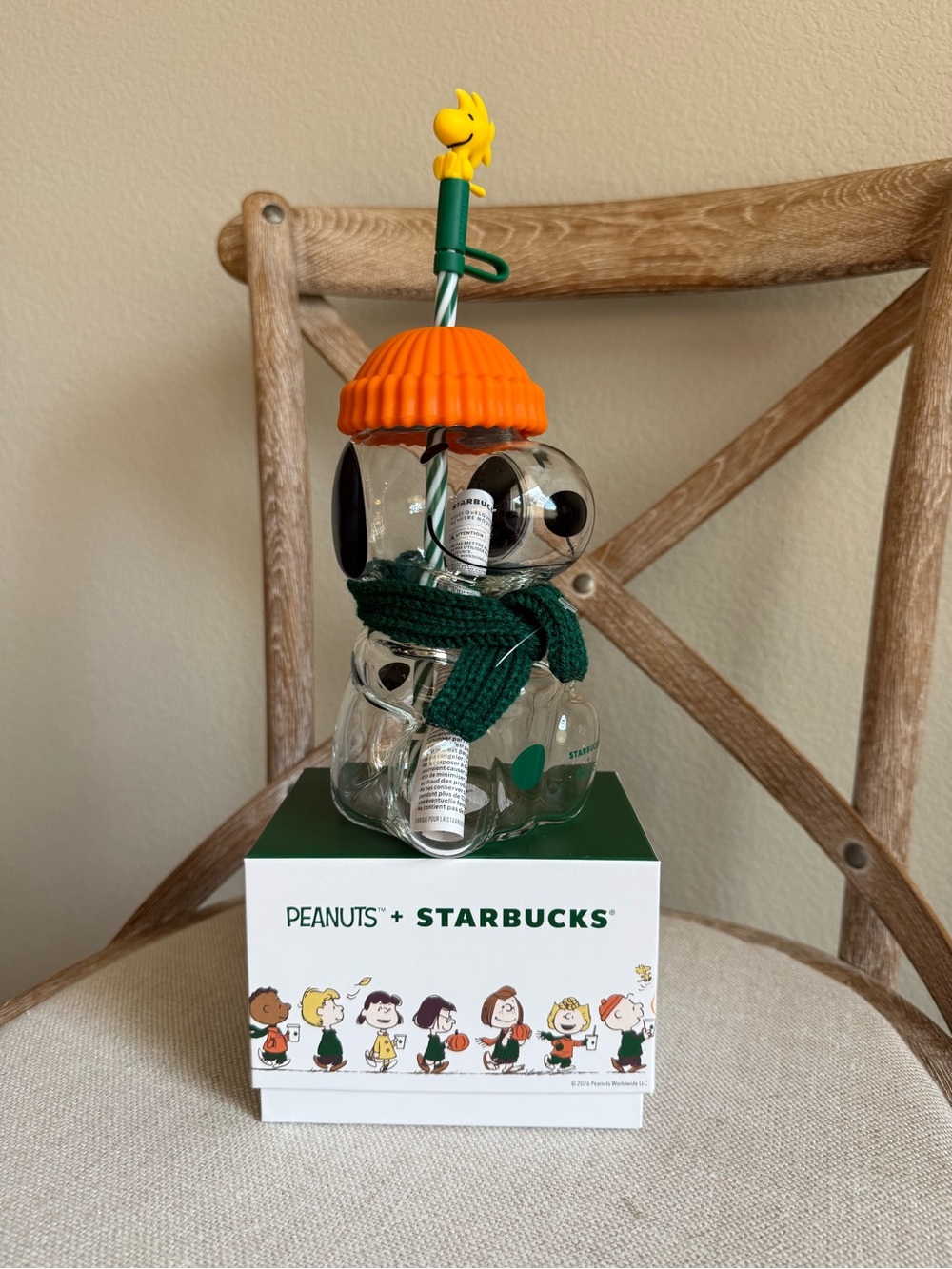 Starbucks snoopy cup and mug set